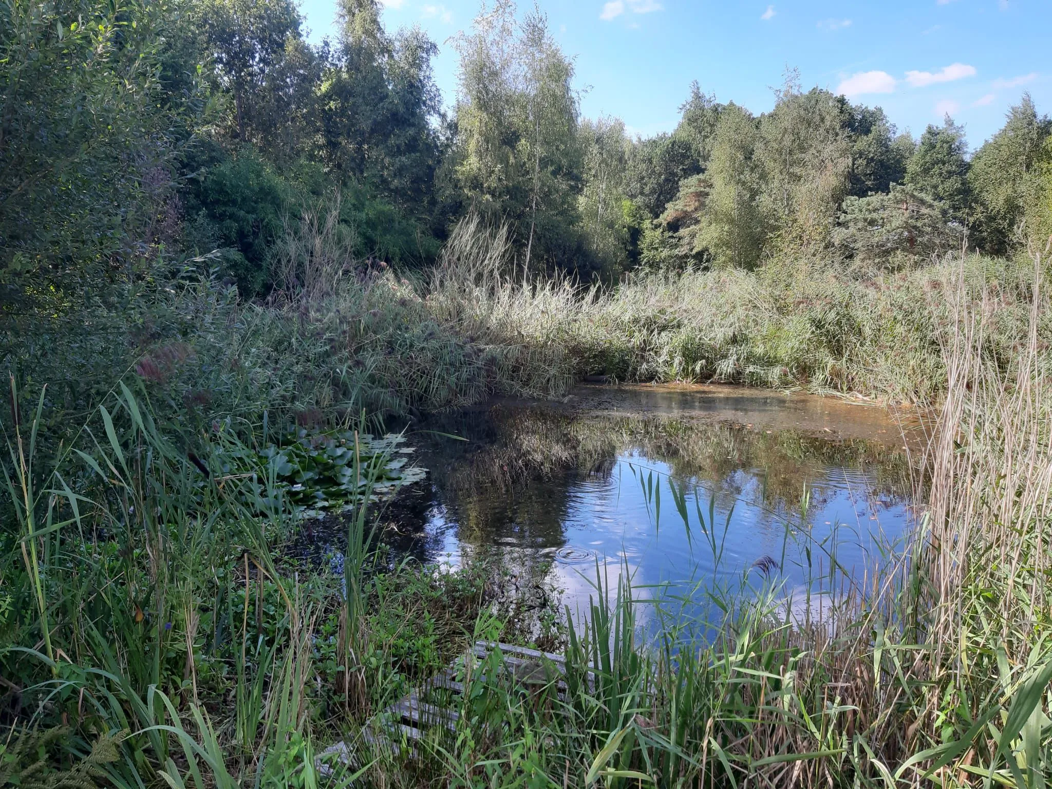 Nature experience at Boijlerstaete
